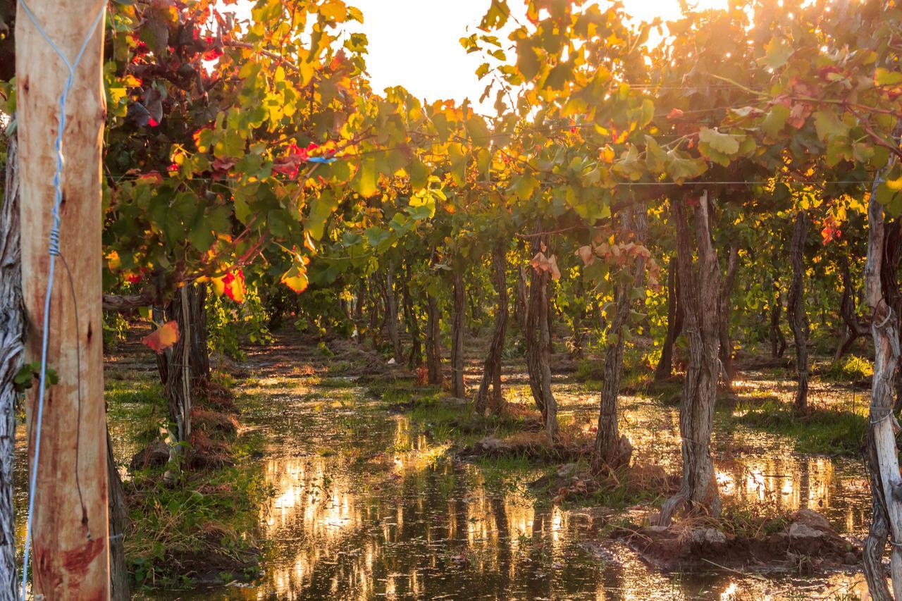 Marale Wines Hotel Boutique Villa Media Agua Eksteriør billede